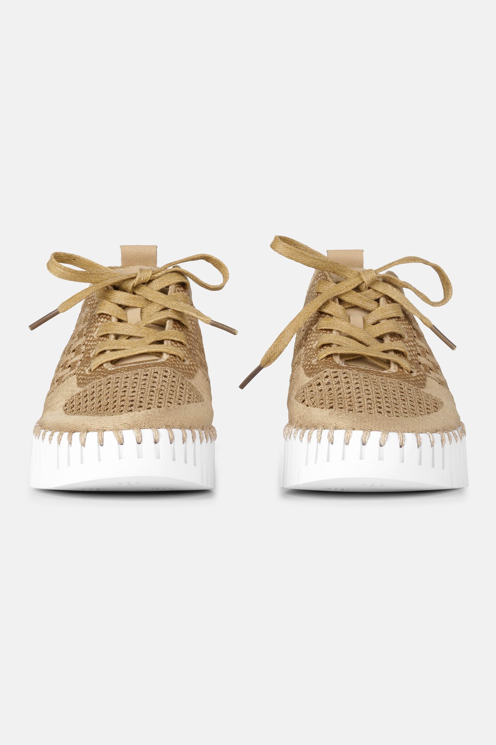 Tulip Chaussures À Lacets - Latte White